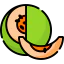 Melon icon 64x64