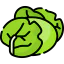 Cabbage icon 64x64