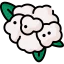 Cauliflower icon 64x64