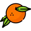 Orange icon 64x64