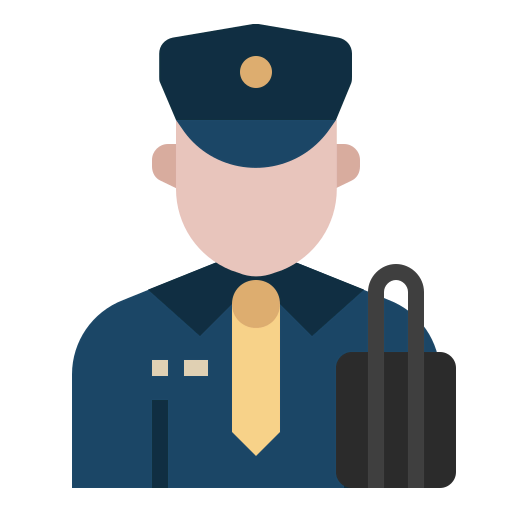 Customs icon