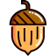 Hazelnut icon 64x64