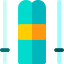 Skii icon 64x64