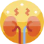Kidney icon 64x64