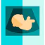 Sonography icon 64x64