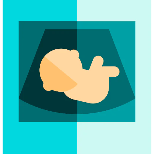 Sonography icon