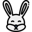 Rabbit icon 64x64