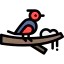 Bird icon 64x64