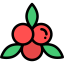 Mistletoe icon 64x64