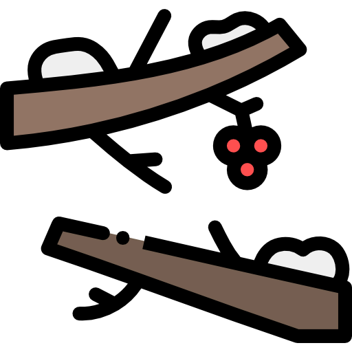 Branches icon