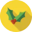 Mistletoe icon 64x64