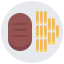 Steak icon 64x64