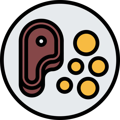 Steak icon