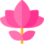 Lotus icon 64x64