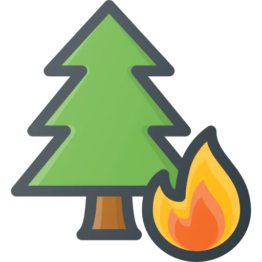 Fire icon