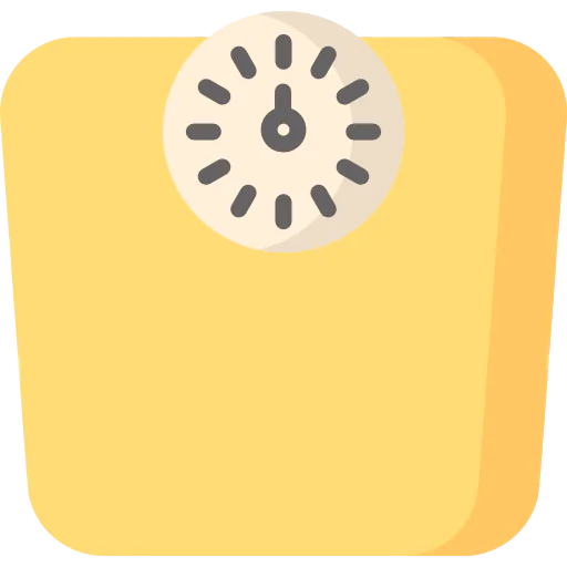 Scale icon