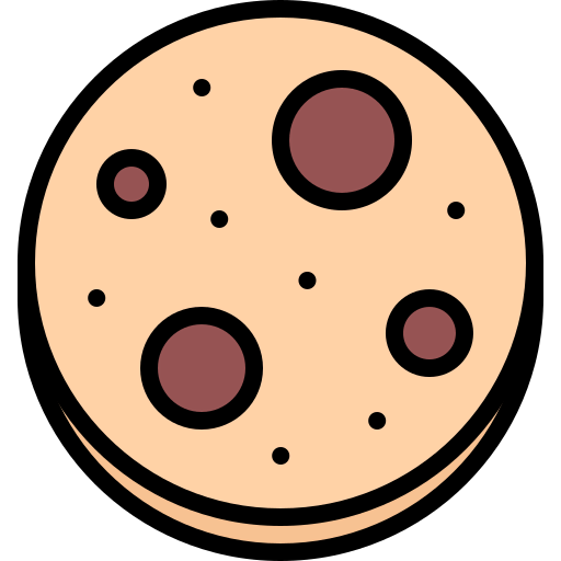 Chocolate chip icon
