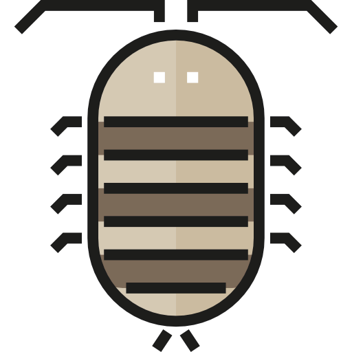 Bedbug icon