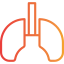 Lungs icon 64x64