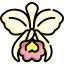 Orchid icon 64x64