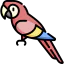 Macaw icon 64x64