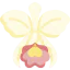 Orchid icon 64x64