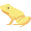 Golden dart frog icon 64x64