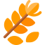 Branch icon 64x64