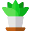 Plant 图标 64x64