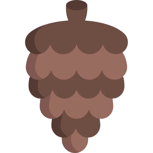 Pine cone 图标