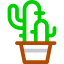 Cactus 图标 64x64