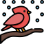 Cardinal ícone 64x64