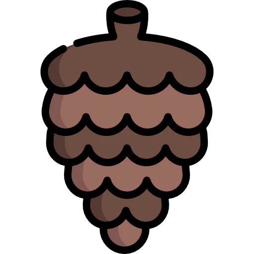 Pine cone icon