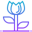 Flower icon 64x64