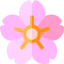 Cherry blossom icon 64x64