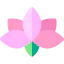 Lotus icon 64x64