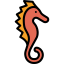 Seahorse 图标 64x64