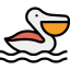 Pelican 图标 64x64