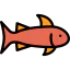 Fish 图标 64x64