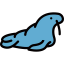 Walrus 图标 64x64
