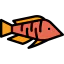 Fish 图标 64x64