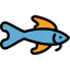 Fish 图标 64x64