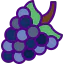 Grape icon 64x64
