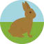 Easter bunny icon 64x64