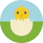 Chicken icon 64x64