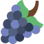 Grape icon 64x64