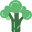 Broccoli icon 64x64