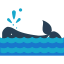 Whale icon 64x64