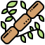 Bamboo Ikona 64x64
