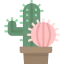 Cactus icon 64x64